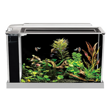 Load image into Gallery viewer, Fluval Spec 5 Gal Freshwater Kit