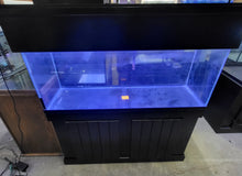 Load image into Gallery viewer, Used 55 Gallon Saltwater Setup
