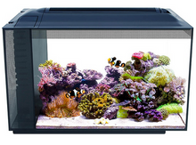 Load image into Gallery viewer, Fluval Evo 13.5 Saltwater Kit
