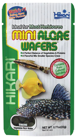 Hikari Mini Algae Wafers .77oz